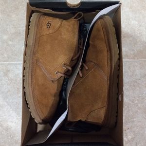 Men's low cut ugg boots